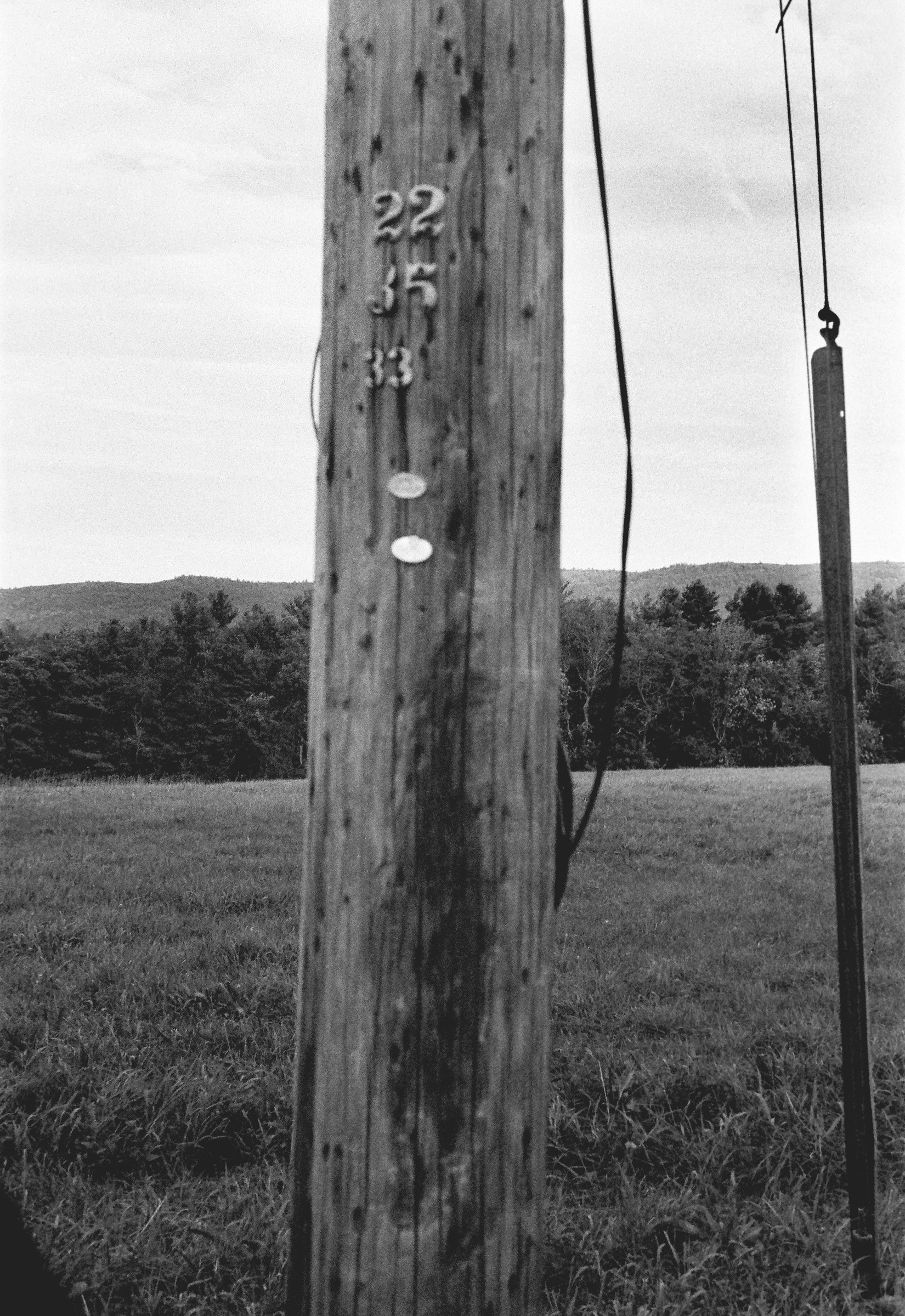 Road Pole installation view