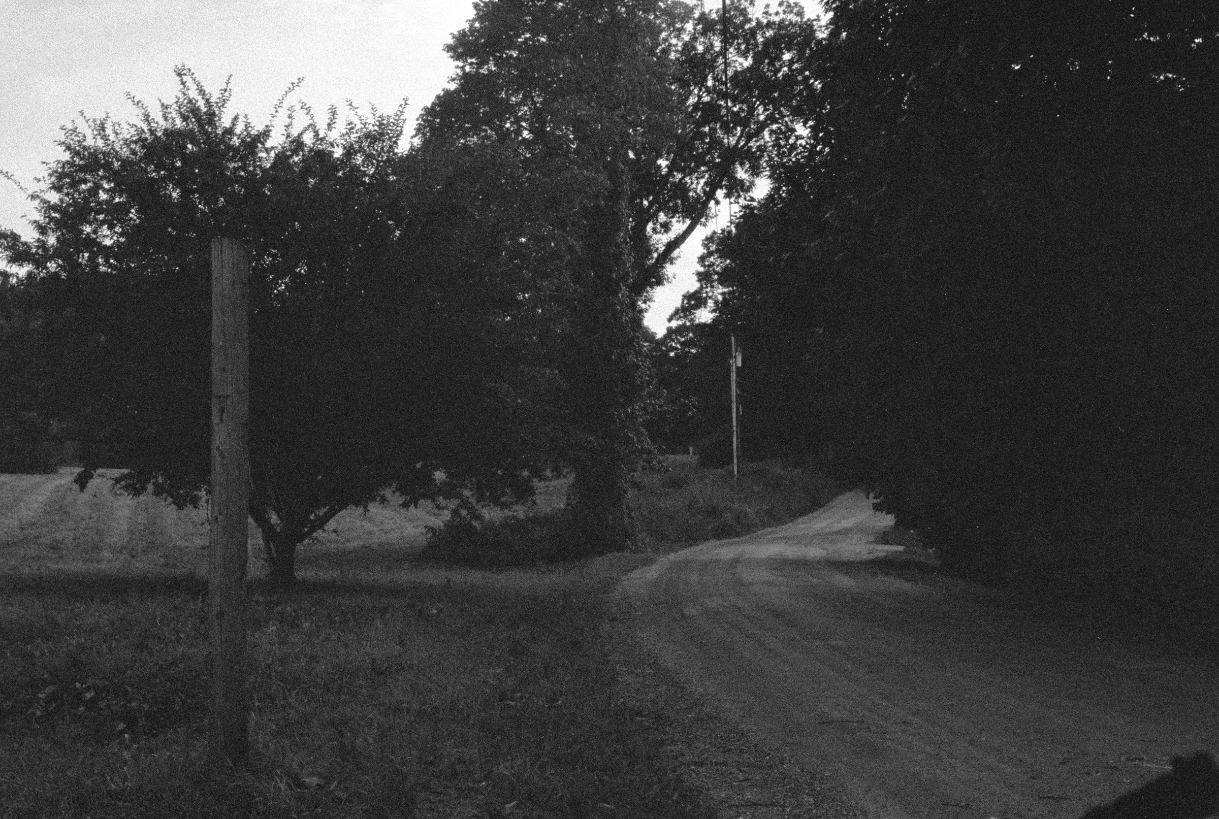 Road Pole installation view