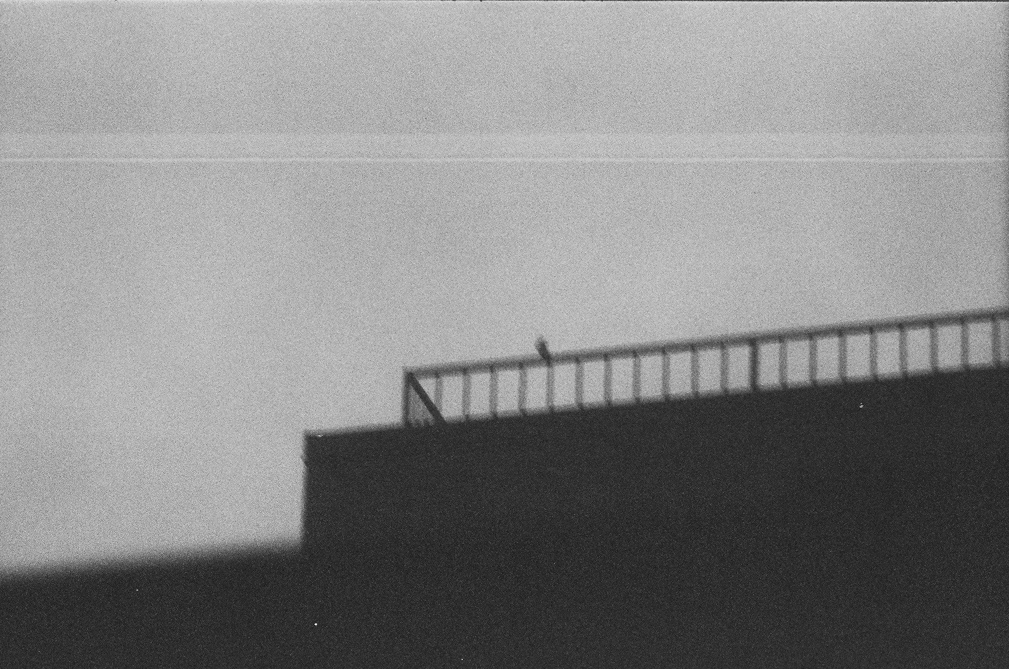 Seen, silver gelatin print