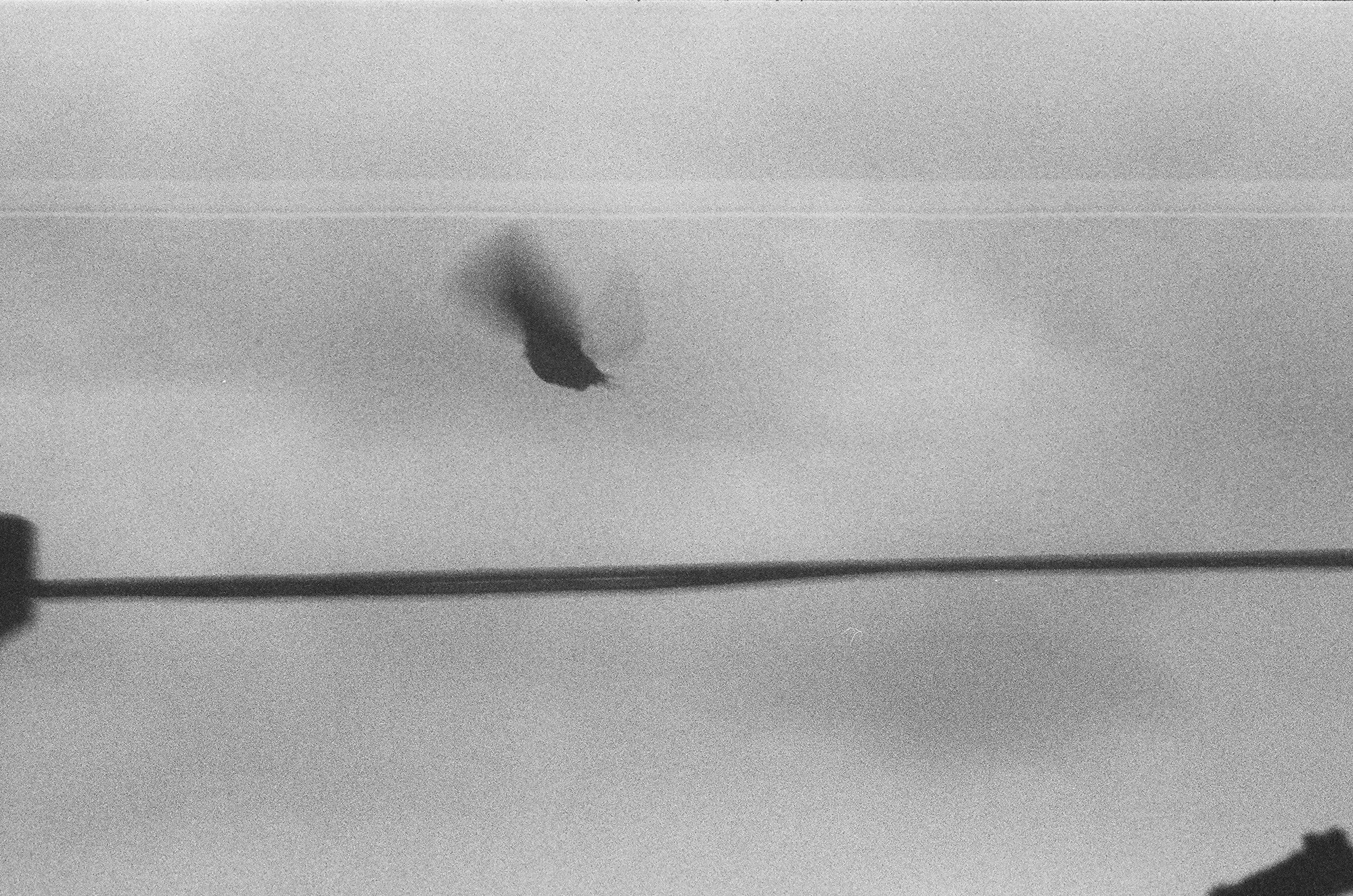 Seen, silver gelatin print