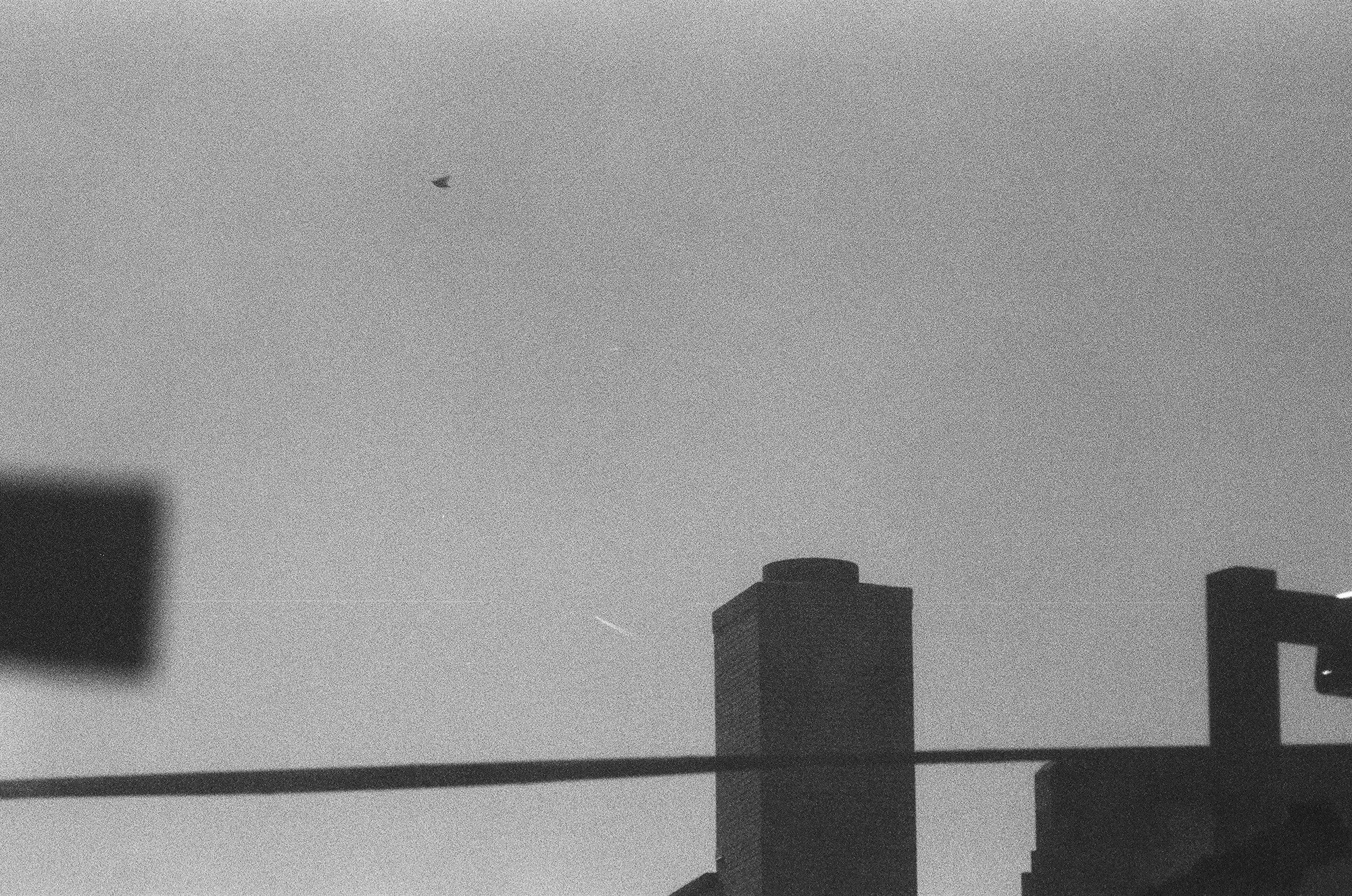 Seen, silver gelatin print