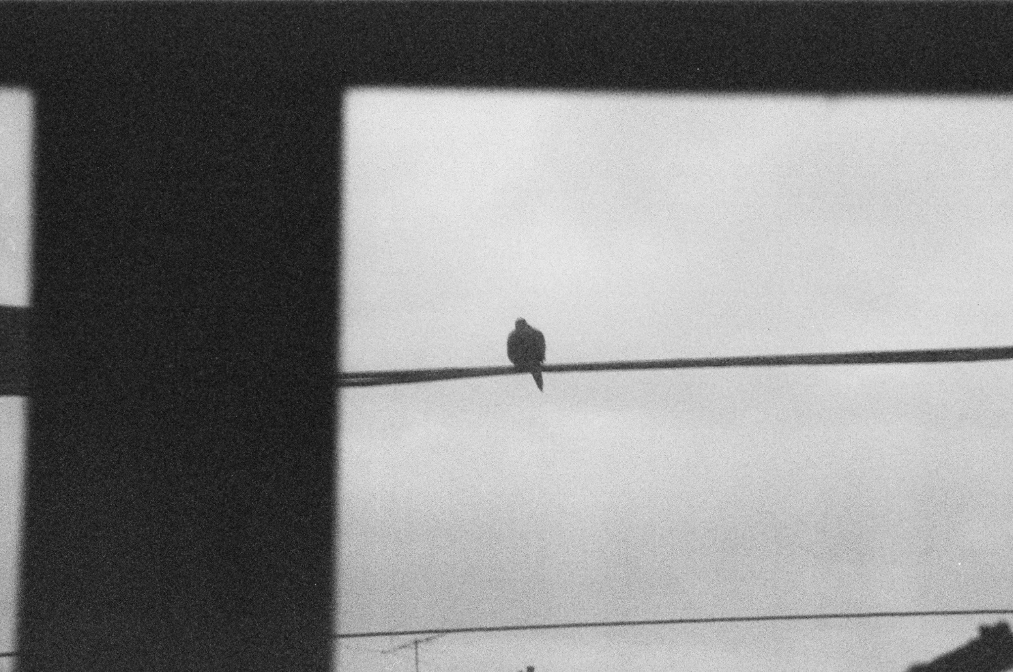 Seen, silver gelatin print